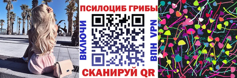 сайты даркнета состав Строитель Псилоцибиновые грибы прущие грибы